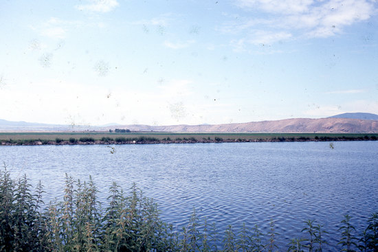 Tule Lake Wildlife refuge