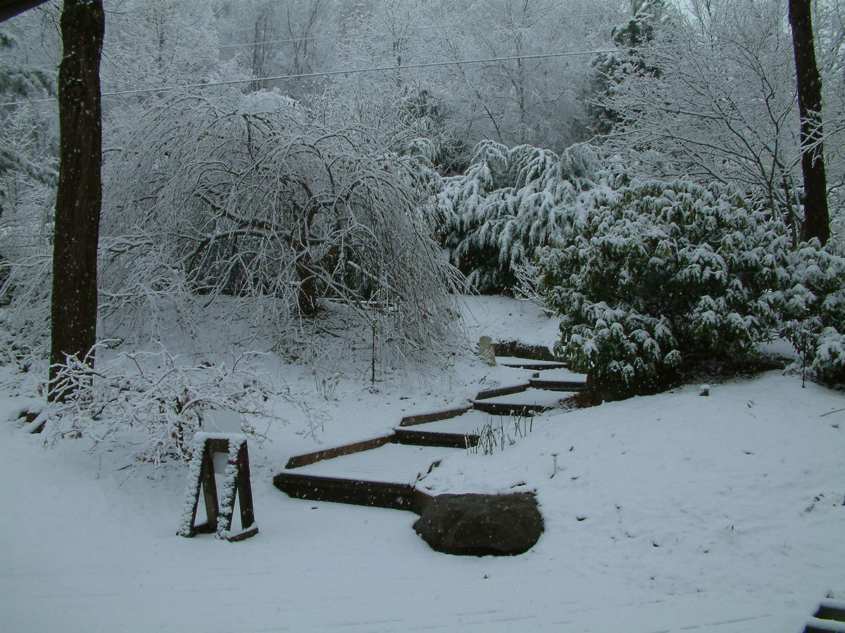 Photo by Mike Breiding - Click for larger image