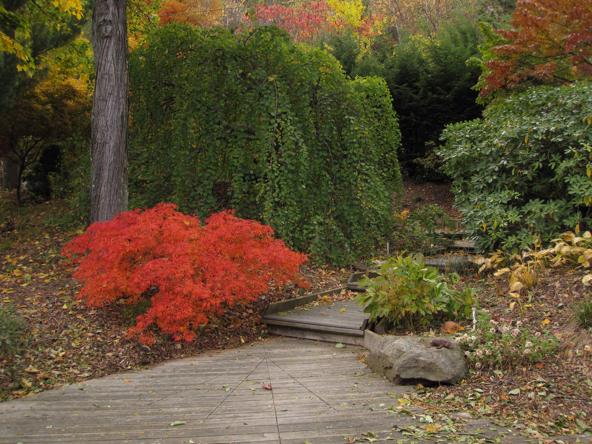 Photo by Mike Breiding