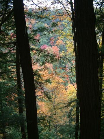 Fall color in the Zoar Canyon