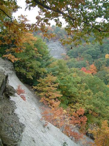 Fall color in the Zoar Canyon