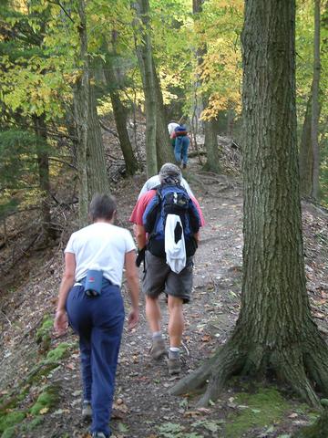 Small trees on the knife edge trail