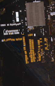 Aerial view of flooded New Orleans school buses.