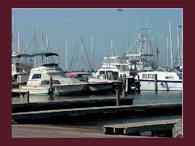 Harbor