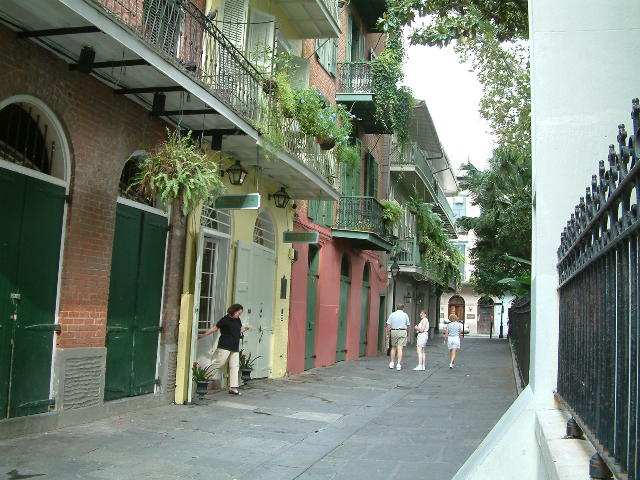 Fern festooned balconies