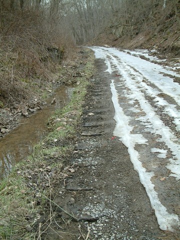 Wooden ties showing through trail surface