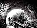 Paw Paw Tunnel