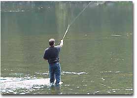 A photo of a person fishing at the park.