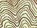 Topographic Map