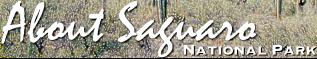 Header