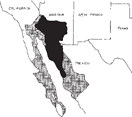 Saguaro Distribution Map