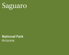 Saguaro National Park