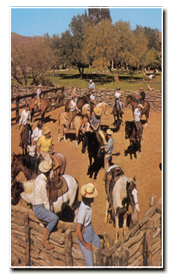 Activities - Riding Lessons