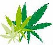 Is it 4:20 already?
