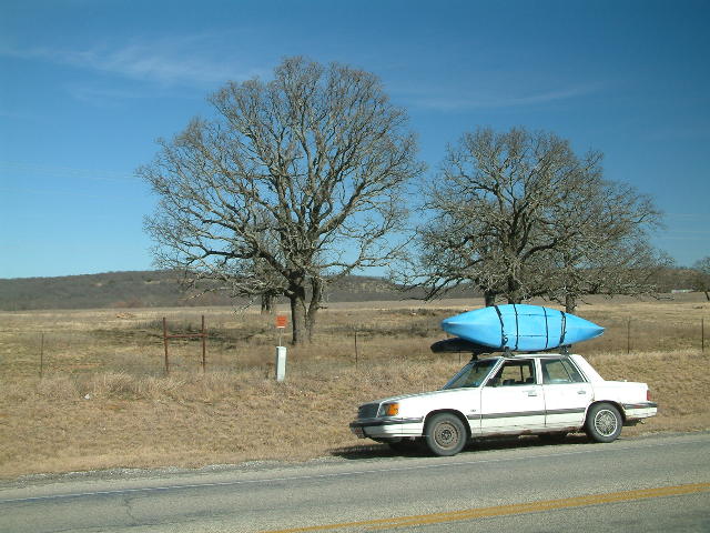 Picturesque oaks