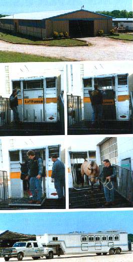 Quarantine barn and shipping by air