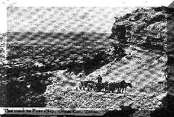 wpe33.jpg (13645 bytes)