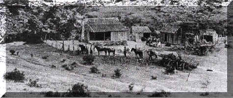 wpe25.jpg (20017 bytes)