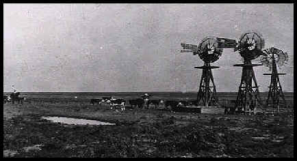 wpe3C.jpg (14577 bytes)