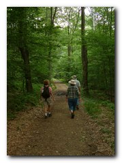  Hikers on woodland trail