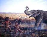 Illustration of early humans killing a mastodon.
