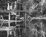 Early photo of people on dock at Wakulla Spring.