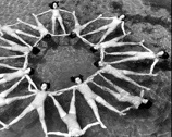 Synchronized swimming in Wakulla Spring.