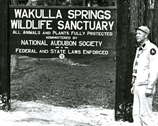 Audubon Society sign at Wakulla Spring.