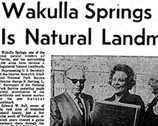 Newspaper article about landmark status.