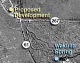 Satellite image of disputed property and Wakulla Spring.