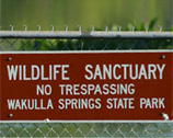 Photo of fence across Wakulla River.