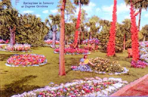Dupree Gardens.