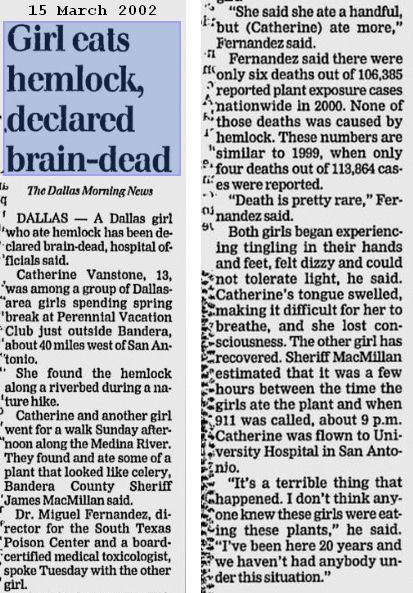 Girl eats hemlock - declared brain dead