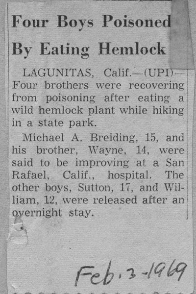 UPI_Feb_1969_ 4 boys-poisened-by-eating-hemlock-lr.jpg UPI_Feb_1969_ 4 boys-poisened-by-eating-hemlock-lr.jpg