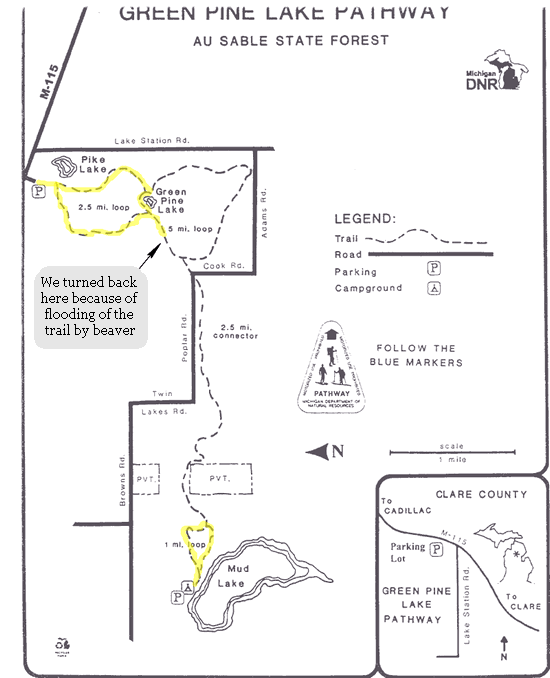 green-pine-pathway map