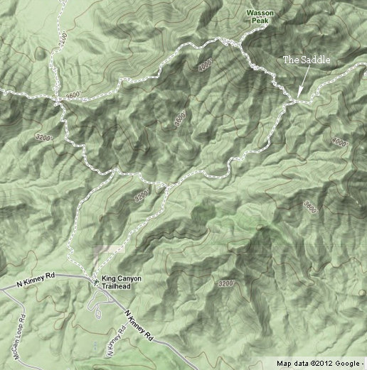 King Canyon and Wasson Peak