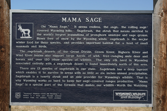 Click for larger image