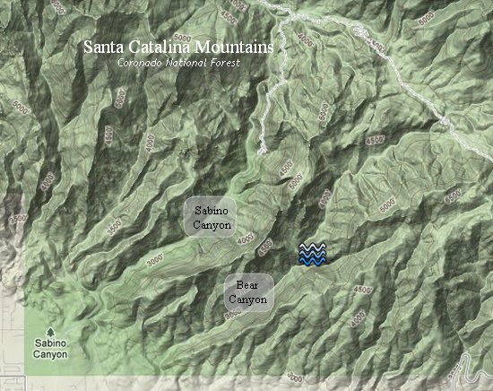 Google Terrain map of Sabino/Bear Canyon area