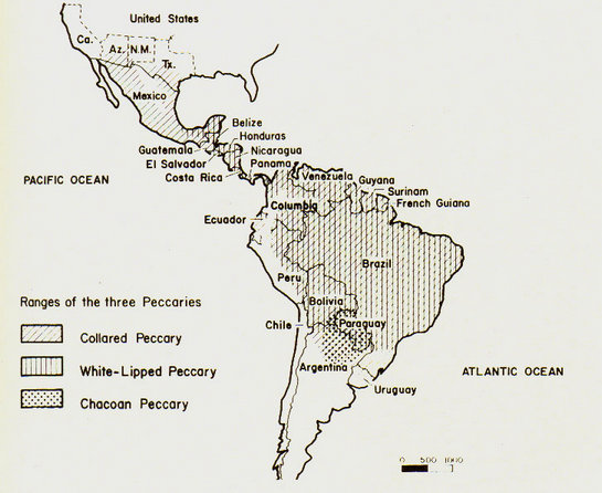 Distribution of Peccaries Distribution of Peccaries