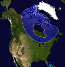 Canadian Shield