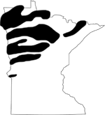 Canadian shield with rock belts in Minnesota