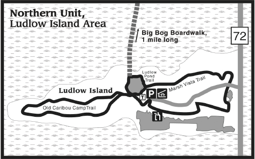 Ludlow Island at Big Bog State Recreation Area