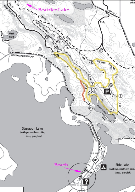 Pickerel Lake Hike: McCarthy Beach State Park