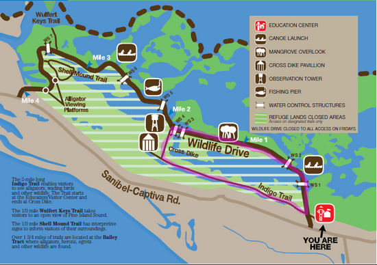 Our walking route at the refuge