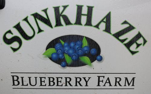 Sunkhaze Wild Blueberry Farm logo