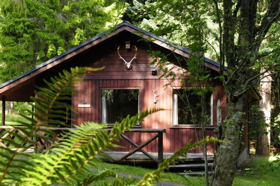 Bunk House Bunk House