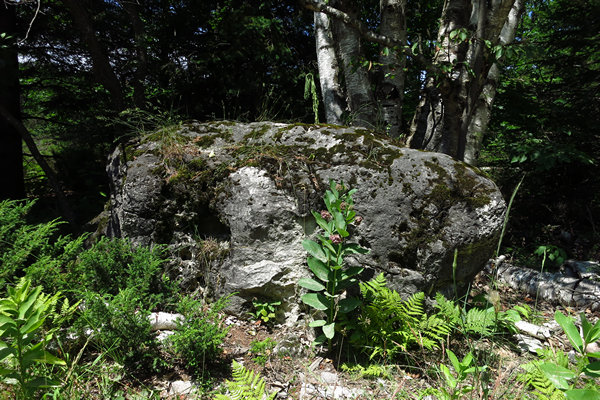 Beaver Island Stone Circle