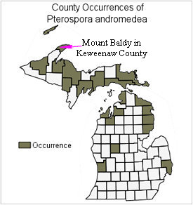 Occurence map in Michigan for Pterospora andromedea