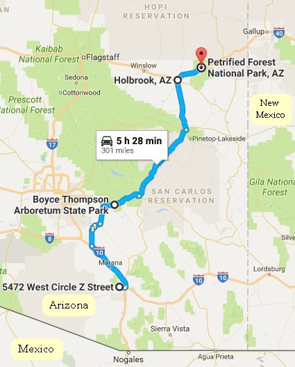 Tucson to Petrified Forest National Park