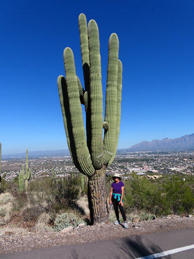 Tucson Area Hikes: Potpourri
